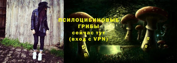 амф Абинск